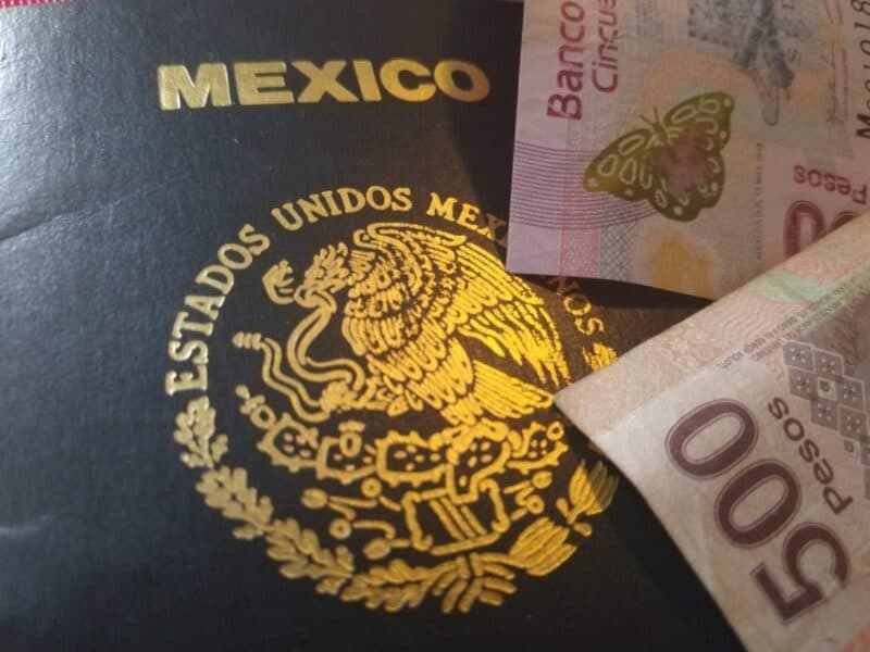 Pasaporte mexicano 2020