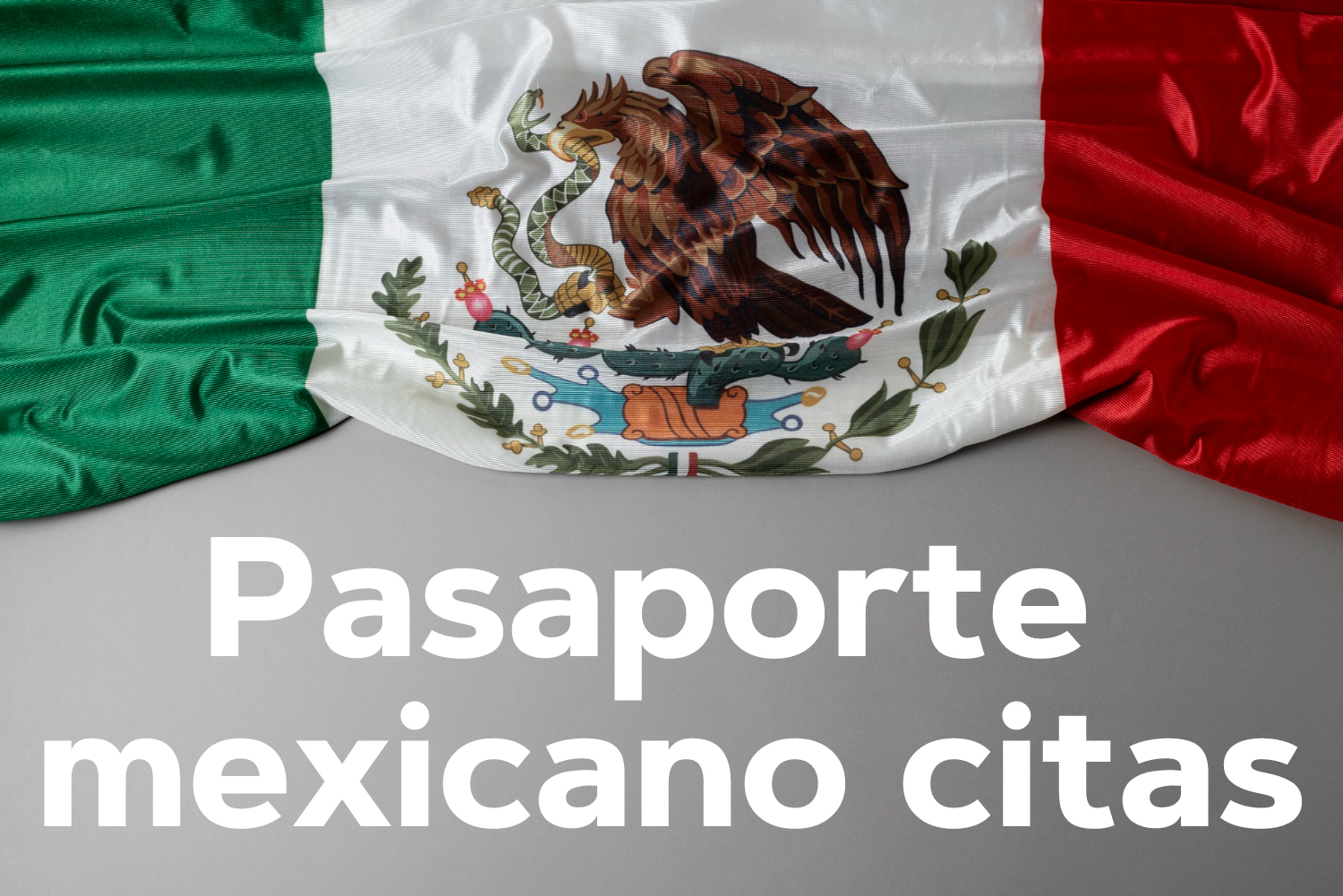 Pasaporte mexicano citas